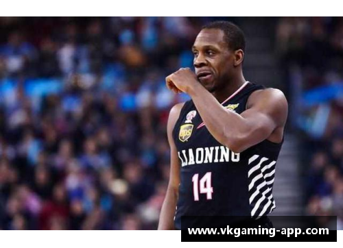 哈德森职业生涯：篮球探索与成就