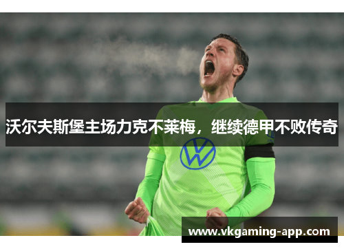 沃尔夫斯堡主场力克不莱梅，继续德甲不败传奇