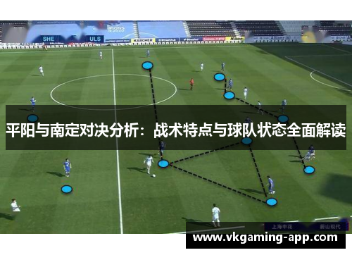 平阳与南定对决分析：战术特点与球队状态全面解读